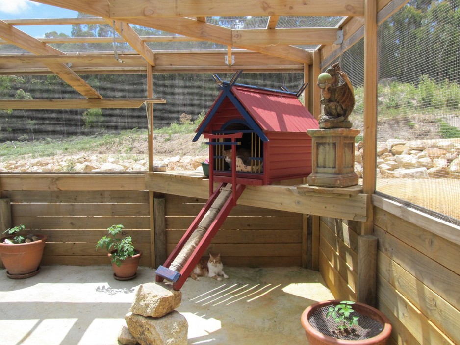 Cat Boarding With Outdoor Play Area 45